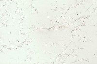 Столешница -3028          Мрамор марквина белый  3000-600-26мм