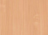 ЛДСП 2750-1830-26мм бук бавария светлая - T