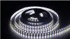 Лента светодиодная 120 диодов/м.п. 5050 хол.белый,24V,28.8W водонепр.(в тубе) IP44 LR10-CW-WP120