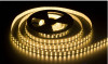 Лента светодиодная 120 диодов/м.п. 5050 тепл.белый,24V,28.8W водонепр.(в тубе) IP44 LR10-WW-WP120