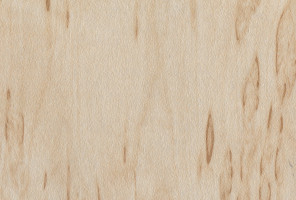 Мебель.щит-17              Береза песчаная  3000-600