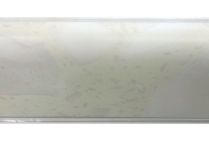 Thermoplast 850 - Плинтус - 4030 (4,2)      Калаката 37*24*4200 (AP 850-1233)