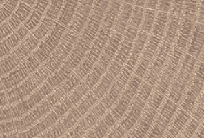 ABS Кромка-Дуб Гладстоун серо-бежевый 2х19х75 {Поперечная структура} (TB Q3326) EGGER ***