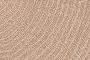 ABS Кромка-Дуб Гладстоун песочный 2х19х75 {Поперечная структура} (ТВ Q3309) EGGER