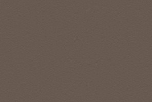 ABS Кромка-Трюфель Коричневый 2х19х75 (ST9 U748) EGGER