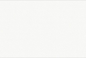 ABS Кромка-Белый премиум Шагрень 0,8х28х75 (ST9 W1000) EGGER