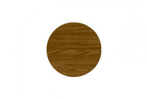 Заглушка самокл. d=20мм Дуб Рустикальный 20.106 (28шт/лист)