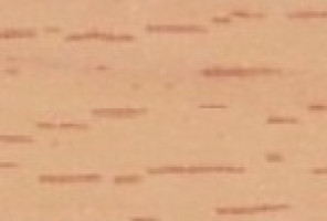 ПВХ Кромка-Бук Натур  2х19мм   101024W ***     Lamarty