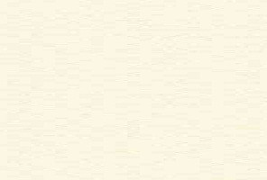 ABS Кромка-Алебастр белый 0,4х19х200 (ST9 U104) EGGER