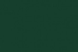 ABS Кромка-Зеленый лес 0,4х19х200 (ST9 U606) EGGER