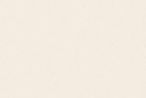 ABS Кромка-Камель бежевый 0,8х19х75 (ST9 U216) EGGER