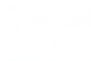 ПВХ Кромка-Белоснежный  0,8х19мм  101010U   Lamarty