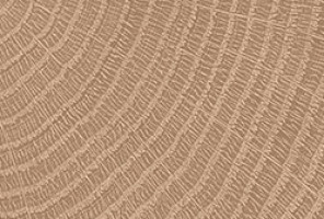 ABS Кромка-Дуб Галифакс Натуральный 1,5х43х25 {Поперечная структура} (Q1180) EGGER