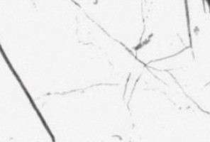 Кромка-AGT Белый мрамор Торос матовый 1х22мм  3030
