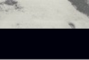 PMMA Кромка-Мрамор Каррара белый-черный 1,3х23х75мм (STC1 F8922) EGGER