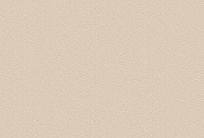 ABS Кромка-Бежевый песок 0,8х23х75 (ST9 U156) EGGER