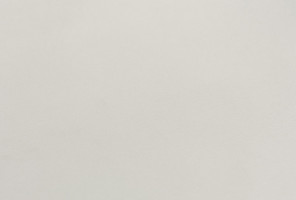  EVOGLOSS 18х1220х2800 P013 Светло-серый (односторонняя)  (матовый)