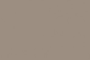 Кромка-AGT Визон новый глянец 0,8х22мм  878