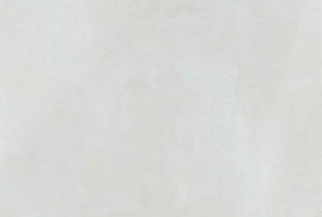  EVOGLOSS 18х1220х2800 P253 Матовый оксид светло-серый (односторонняя)