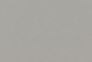  ЛДСП 2800-2070-16мм серебристый матовый F765 ST20   24+