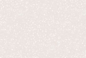 Столешница-FS040 S1 R 3   Баскунчак            3000-600-38мм