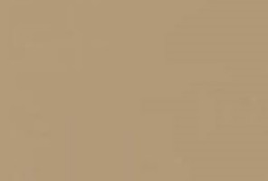 Кромка ПВХ HG матовый Вижен 0,8х22 P008 (Р732) EVOGLOSS **