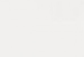 Кромка ПВХ Evogloss Бьянко глянец 0,8*22 Р101   AGT 647