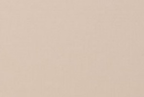 Кромка ПВХ Evogloss Визон глянец 0,8*22 Р103