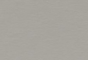 ABS Кромка-Серебристый матовый  0,8х19х75 (ST20 F765) EGGER