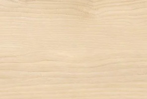 ABS Кромка-Береза песочная 0,4х19х200 (ST9 H1732) EGGER