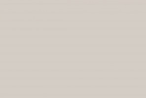 Кромка-ПВХ EVOSOFT Белый фарфоровый оникс EVS001 / ACM005 Кашемир  0,8х22мм   AGT 3019