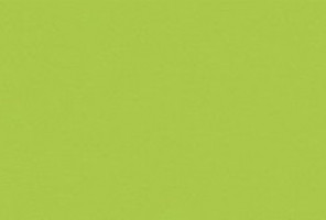 ABS Кромка-Зеленый лимон (Зеленый лайм) 2х35х75 (ST9 U630) EGGER