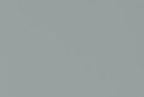  EVOSOFT 18х1220х2800 EVS007 Лунный топаз  (двусторонняя)  (3015)