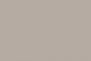 ПВХ Кромка-Утренний капучино 1х23мм   410004W  / 2599L