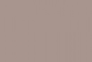 Кромка-ПВХ EVOSOFT Розовая маргаритка EVS013   0,8х22мм   AGT 3016