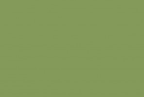 ABS Кромка-Зеленый оливковый 1х23х75 (TM9 U640) EGGER