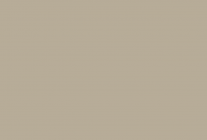 ABS Кромка-Дакар серый 1х23х75 (TM9 U717) EGGER