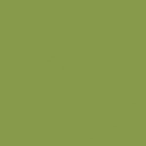  ЛДСП 2800-2070-16мм зеленый киви U626 ST9