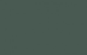 AGT Зеленый лист 3050  МДФ 2800*1220*18 (3P) двусторонняя  однотонная