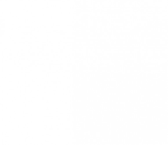  ЛДСП 2750-1830-10мм белоснежный - U   АКЦИЯ  выведен