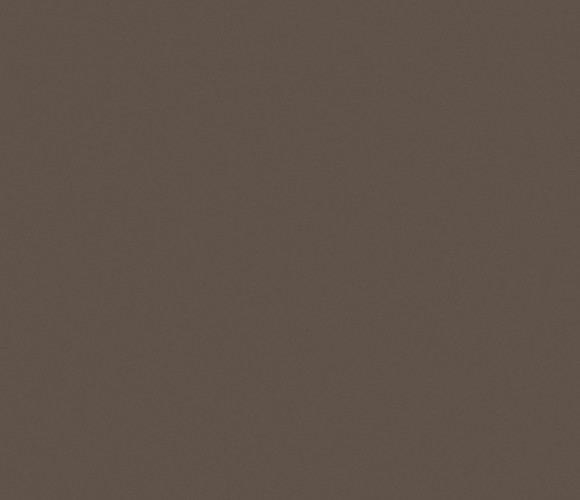  ЛДСП 2800-2070-16мм трюфель коричневый U748 ST9