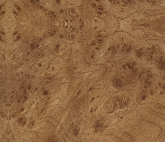 Мебель.щит-167            Корень вяза  3000-600