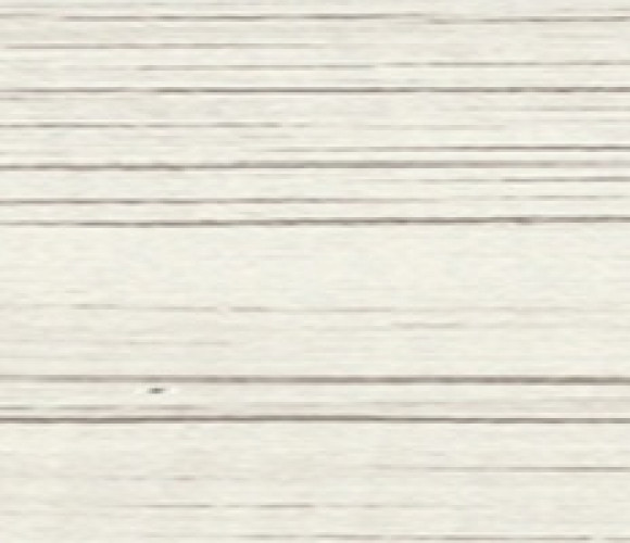 ABS Кромка-Древесина Белая 0,8х19х75 (ST22 H1122) EGGER ***