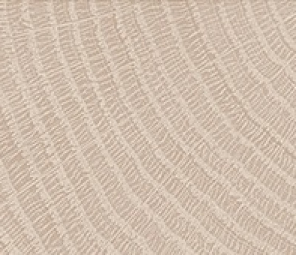 ABS Кромка-Дуб Галифакс Белый 2х19х75 {Поперечная структура} (Q1176) EGGER