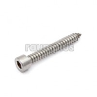 Раумплюс 10.07.110 Винт сборочный 45мм, С-серии