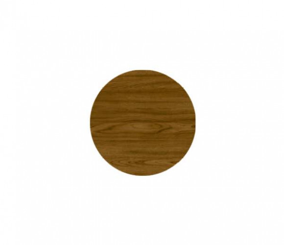 Заглушка самокл. d=20мм Дуб Рустикальный 20.106 (28шт/лист)