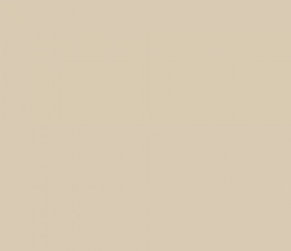 ПВХ Кромка-Имбирь 0,4х19мм  101050U   Lamarty