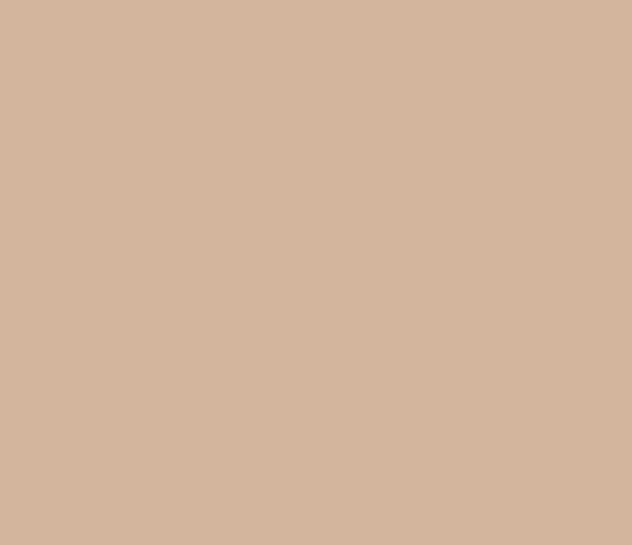 ABS Кромка-"Слепая" Светло-коричневая 0,3х19х450 (GB 9002) EGGER