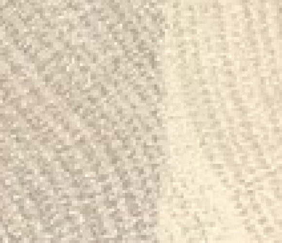 ABS Кромка-Дуб Галифакс Белый 1,5х43х25 {Поперечная структура} (Q1176) EGGER ***