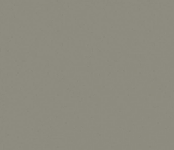 AGT Визон новый 878 МДФ 2800*1220*18 (глянец) односторонняя  2гр